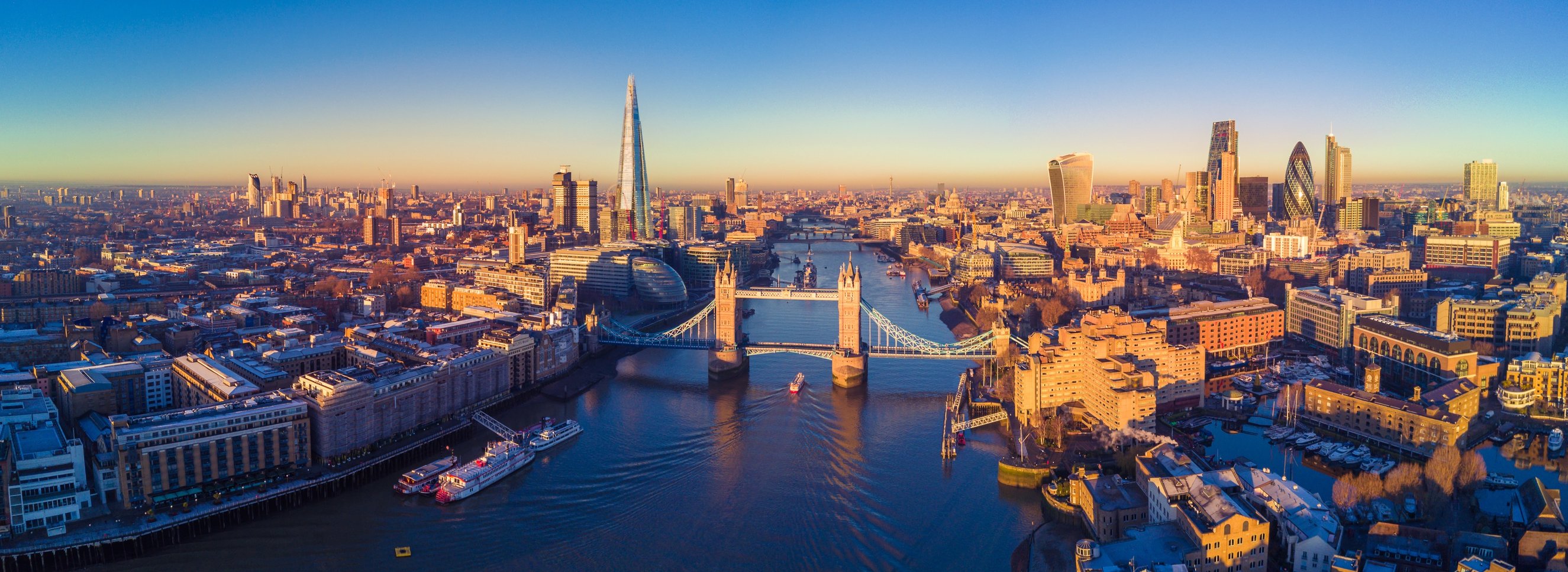 City-Skyline-Advisory-Board-crop.jpg