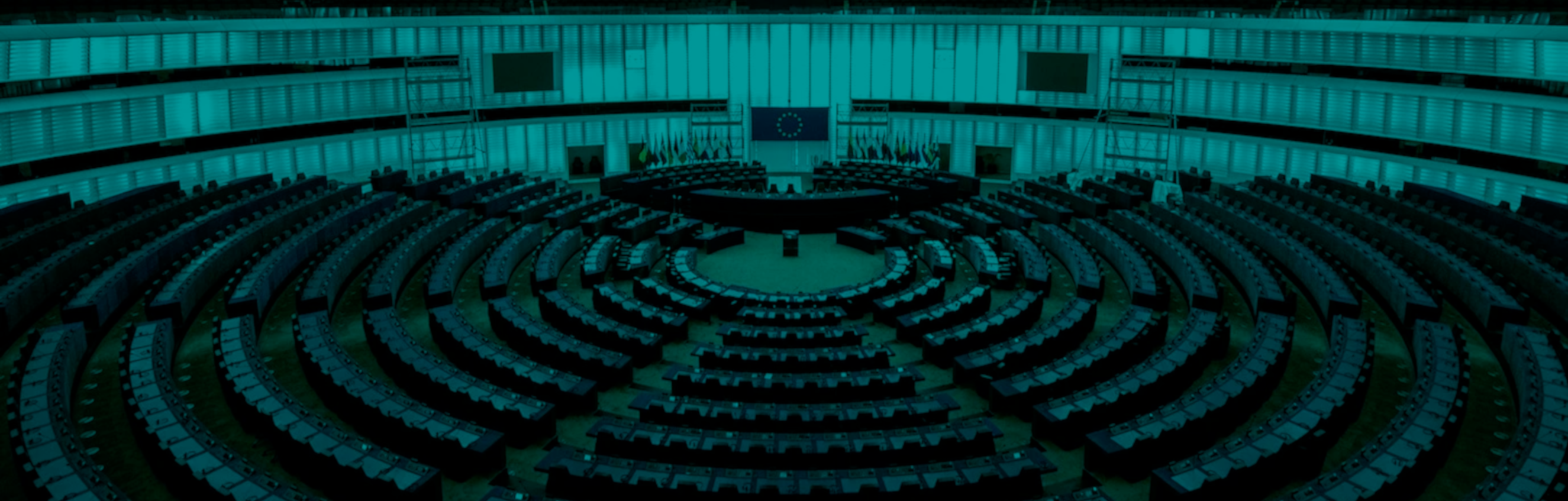 The European Parliament Elections 2019